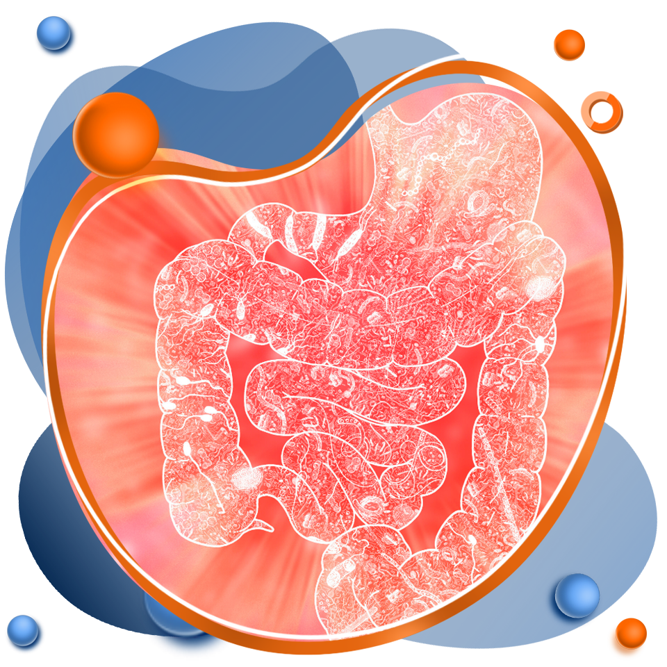 Curso de microbiota e imunidade