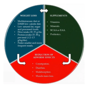 recomendações nutricionais para pacientes em uso de medicamento análogo de GLP-1